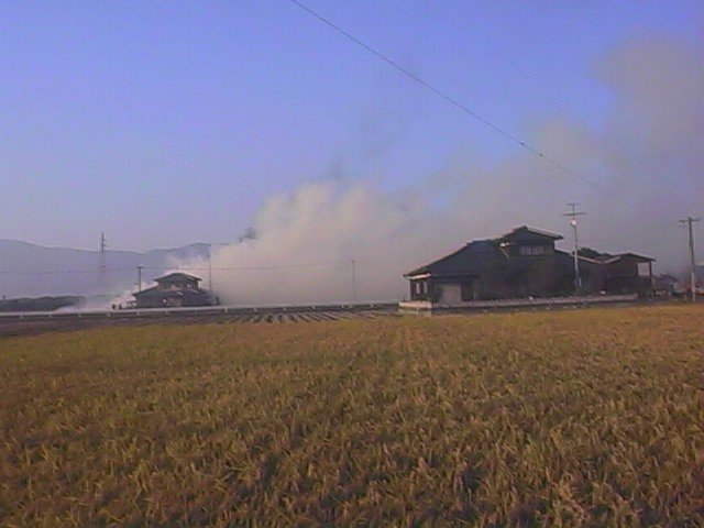 burnin down the house 2.jpg, 49895 bytes, 10/25/1999