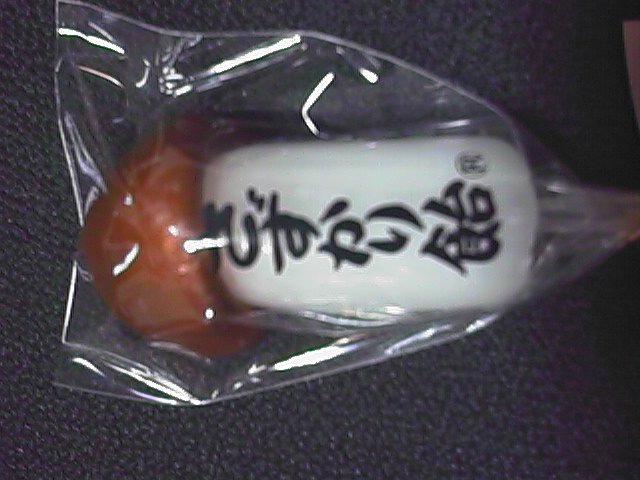 penis lollipop from iki island 3.jpg, 55094 bytes, 10/23/1999