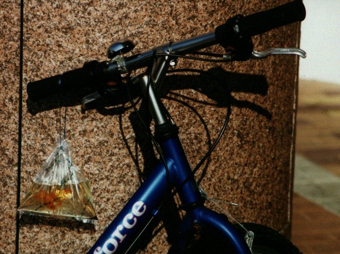 reckon that's good for the fish.jpg, 100844 bytes, 10/7/1999