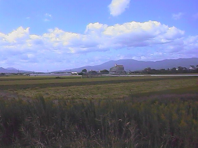 rural area south of saga.jpg, 50348 bytes, 10/3/1999