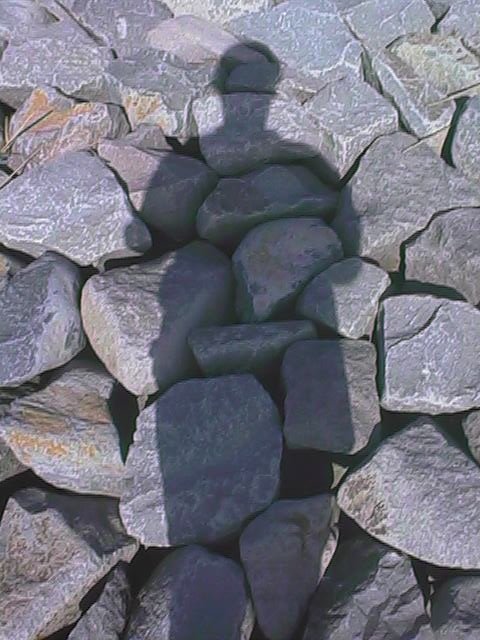self portrait in shadow.jpg, 70772 bytes, 10/3/1999