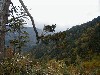 overlook.jpg