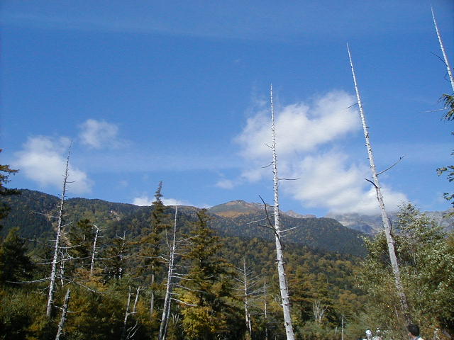 kamikochi28.jpg, 61232 bytes, 1/1/1998