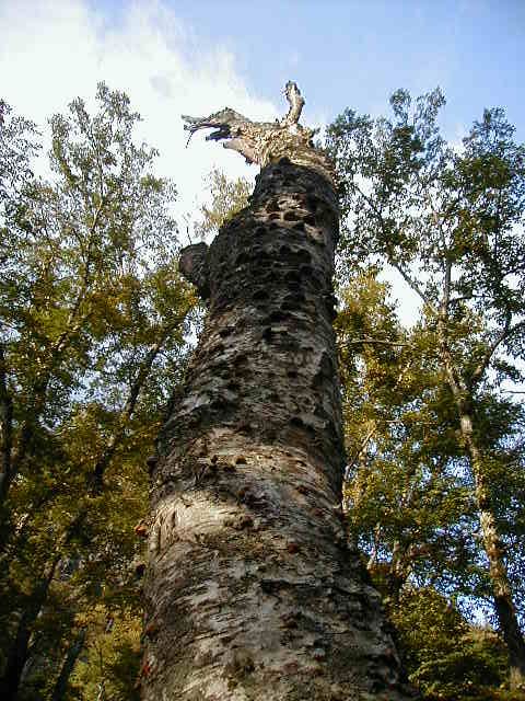 kamitree.jpg, 98691 bytes, 10/9/2000