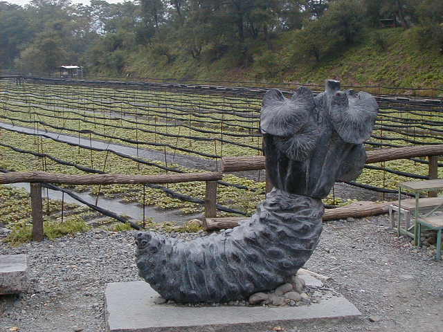 wasabistatue.jpg, 63893 bytes, 10/9/2000