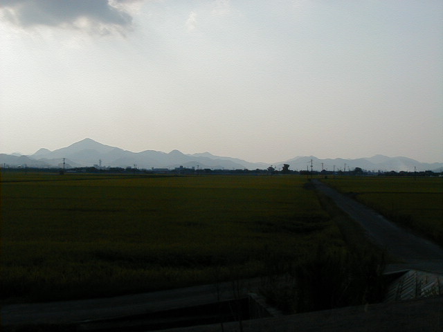 skyline.jpg, 49901 bytes, 1/1/1998