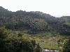 terracedrice2.jpg