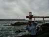 underseaobservatory2.jpg