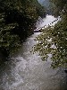 vinebridge1.jpg