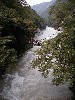 vinebridge2.jpg