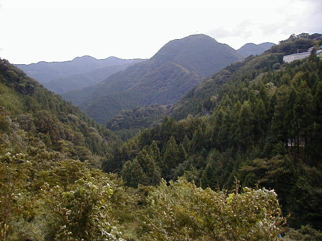 greenvalley.jpg, 62750 bytes, 9/16/2000