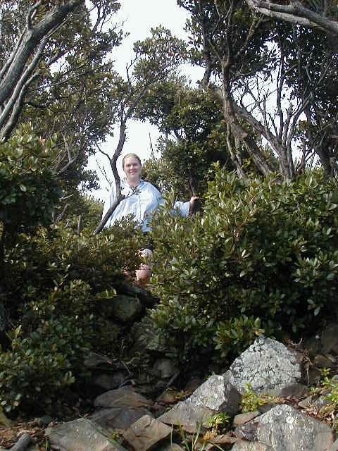 kimandtrees.jpg, 95717 bytes, 9/18/2000