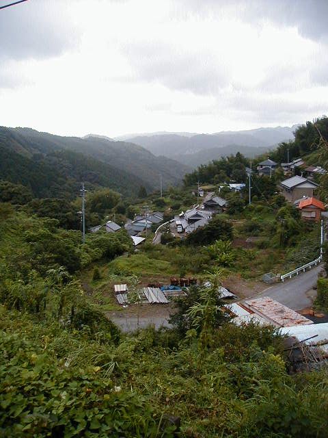 longview.jpg, 65860 bytes, 9/18/2000