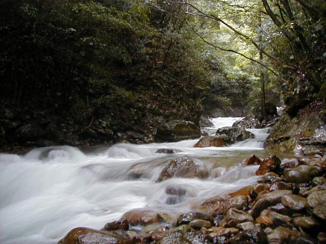 rollingwater.jpg, 61857 bytes, 1/1/1998