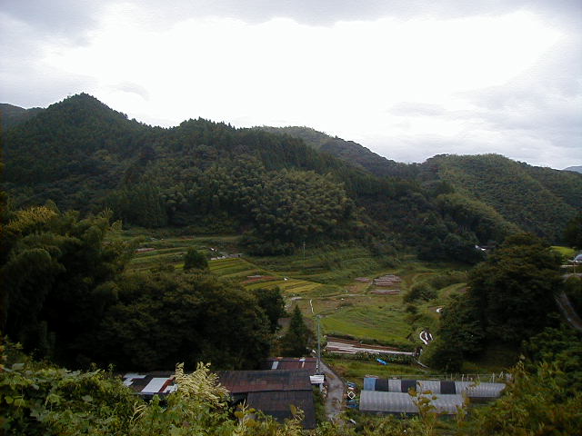 terracedrice.jpg, 58865 bytes, 1/1/1998
