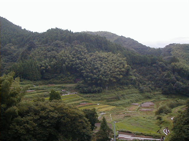 terracedrice2.jpg, 59960 bytes, 1/1/1998