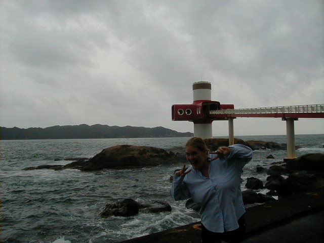 underseaobservatory2.jpg, 58188 bytes, 1/1/1998
