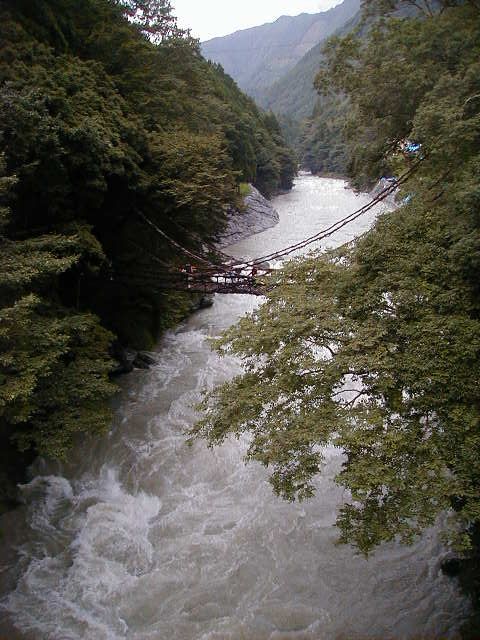 vinebridge2.jpg, 75771 bytes, 9/18/2000