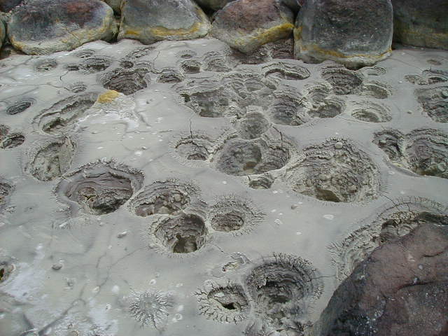 awhot7.jpg, 62687 bytes, 2001/05/20