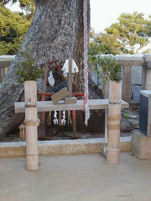 awtempletree.jpg, 57291 bytes, 2001/05/20
