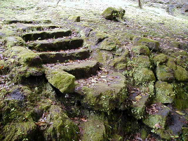 garden6.jpg, 60502 bytes, 2001/05/06