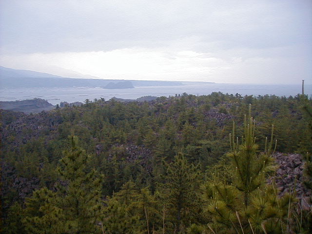 morelookout3.jpg, 61454 bytes, 2001/05/06