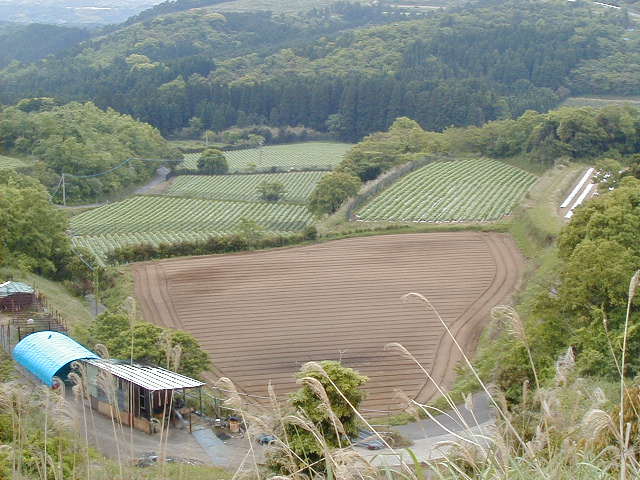 overlook4.jpg, 63512 bytes, 2001/05/05