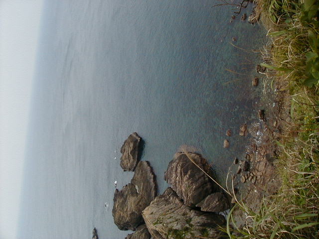 sataview2.jpg, 60280 bytes, 2001/05/05