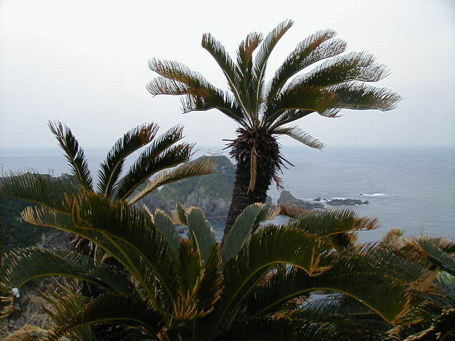sataview3.jpg, 59905 bytes, 2001/05/05