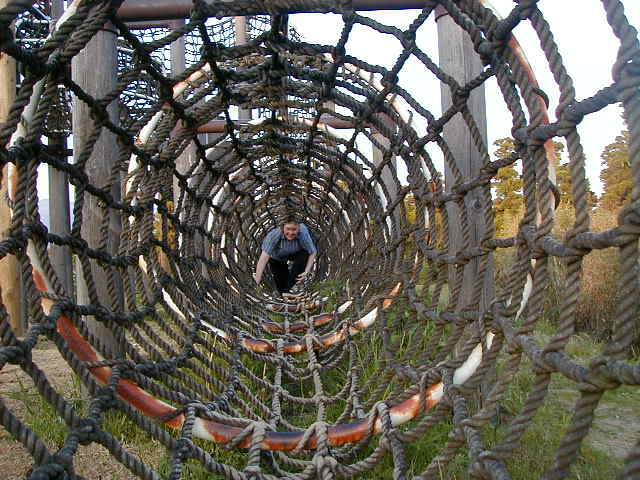 shkimnet3.jpg, 64067 bytes, 1998/01/01