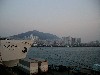 kameliainfukuoka.jpg