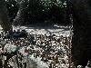 stonepiles3.jpg