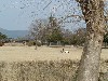 sunnydayrelax.jpg