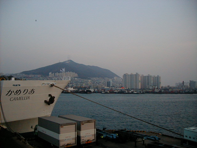 kameliainfukuoka.jpg, 59909 bytes, 1/1/1998