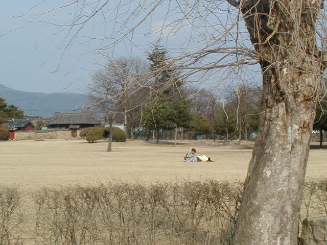 sunnydayrelax.jpg, 63015 bytes, 1/1/1998