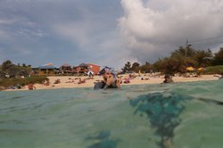underwater (13).JPG