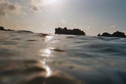 underwater (14).JPG