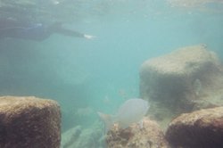underwater.jpg
