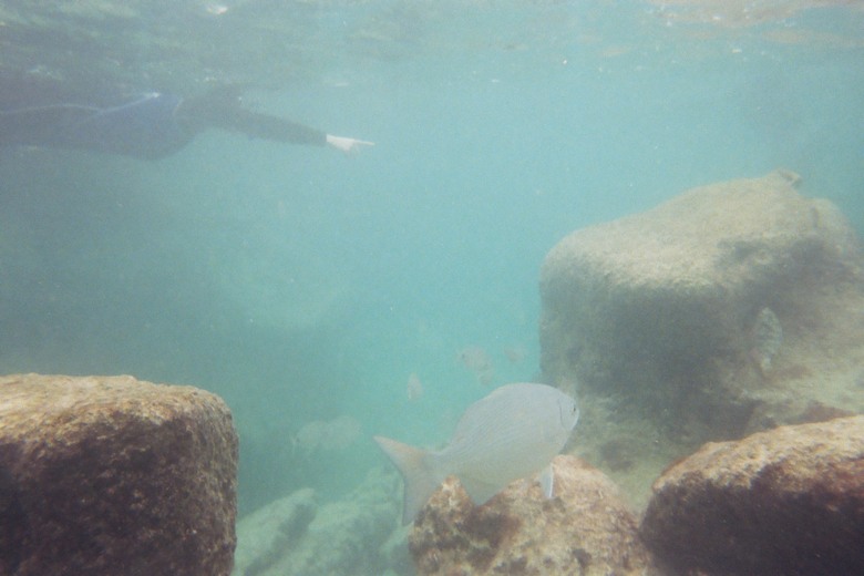 underwater.jpg, 68 kB