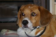 IMGP0563.JPG