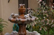 IMGP0564.JPG