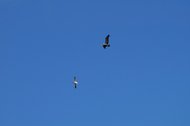 IMGP0577.JPG