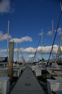 IMGP0579.JPG