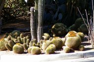 IMGP0723.JPG