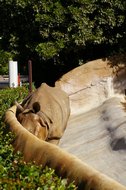 IMGP0737.JPG