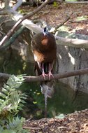 IMGP0755.JPG