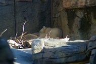 IMGP0789.JPG