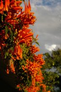 IMGP0810.JPG