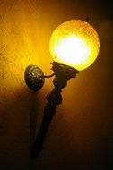 IMGP0845.JPG