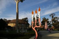 IMGP0894.JPG